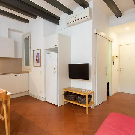 شقة Tranquil Cozy With Balcony Placa Catalunya. Ri.